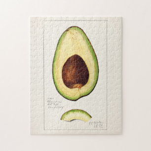 Avocado (Persea) Fruit Watercolor Painting Jigsaw  Puzzle