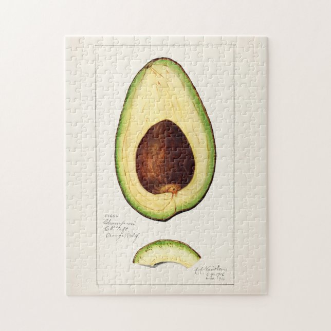 Avocado (Persea) Fruit Watercolor Painting Jigsaw  Puzzle (Vertical)