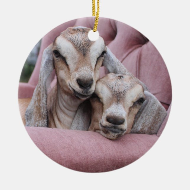 Avocado & Smooshie Holiday Ornament (Front)