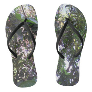 Avocado Tree Jandals