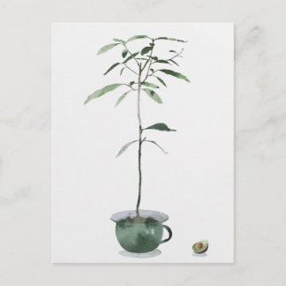 Avocado Tree Postcard