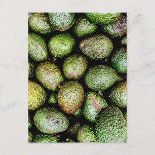 Avocados Postcard