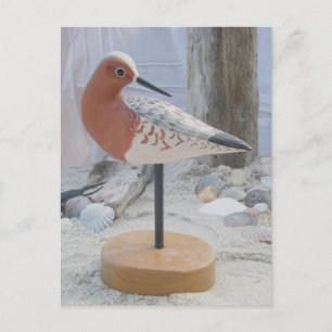 Avocet "Slick" Woodcarving Postcard