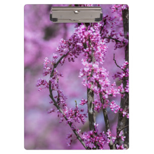 Avondale Redbud Art Clipboard