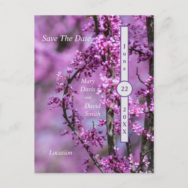 Avondale Redbud Art Save The Date Postcard (Front)