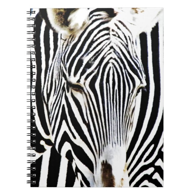 Awaiting_ Spiral Notebook (Front)