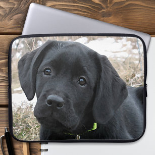 Awaiting Spring - Labrador Puppy - Black Lab Laptop Sleeve
