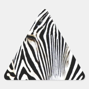 Awaiting_ Triangle Sticker