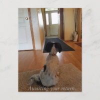 Awaiting your return
