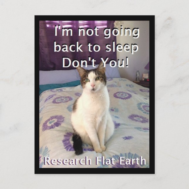 Awake Layla Postcard (Front)