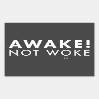 Awake! Not Woke™ LOGO Sticker