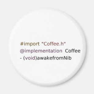 awakefromNib Magnet
