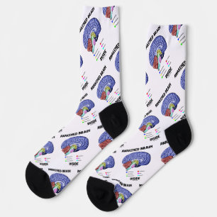 Awakened Brain Inside Brain Anatomy Geek Humour Socks