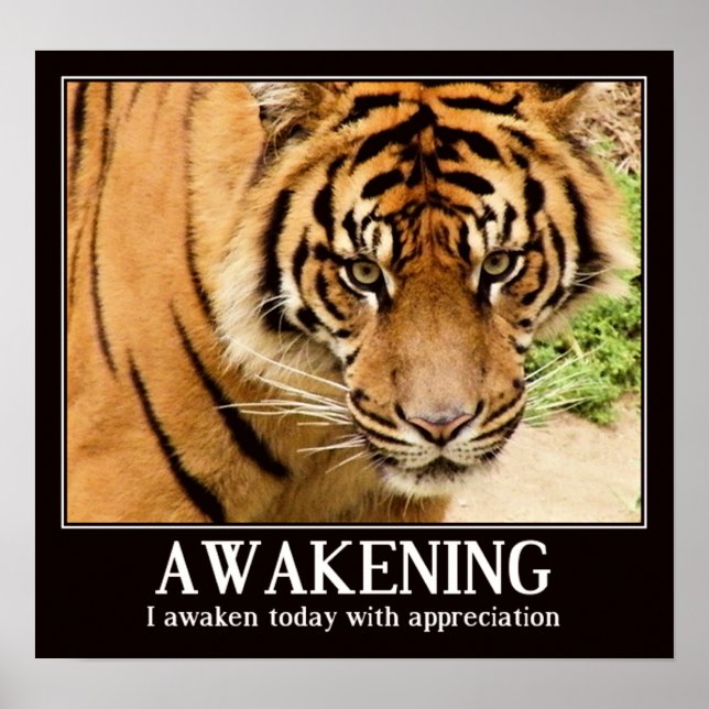 Awakening,appreciation_ Poster (Front)