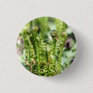 Awakening young fern in the garden   3 cm round badge