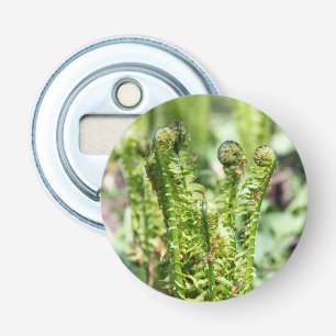 Awakening young fern in the garden bottle opener