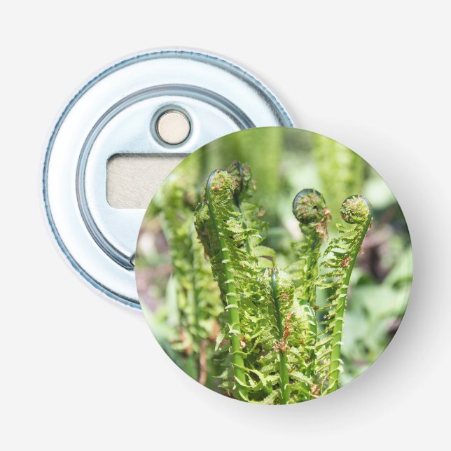 Awakening young fern in the garden  bottle opener (Front)