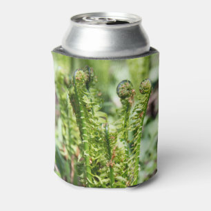 Awakening young fern in the garden   can cooler