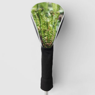 Awakening young fern in the garden golf head cover