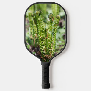 Awakening young fern in the garden  jigsaw  pickleball paddle