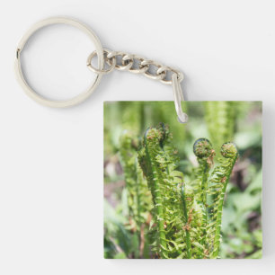 Awakening young fern in the garden   key ring
