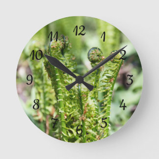 Awakening young fern in the garden  round clock