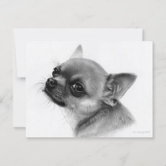 Award-Winning Chihuahua Charcoal Drawing Postcard