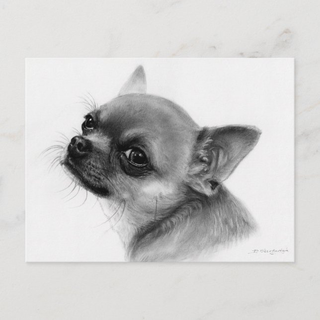Award-Winning Chihuahua Charcoal Drawing Postcard (Front)