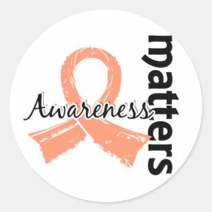 Awareness Matters 7 Endometrial Cancer Classic Round Sticker