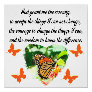 AWE INSPIRING BUTTERFLY SERENITY PRAYER PHOTO POSTER