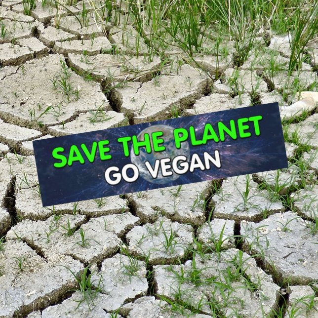 Awereness Vegan Bumper Sticker (Creator Uploaded)