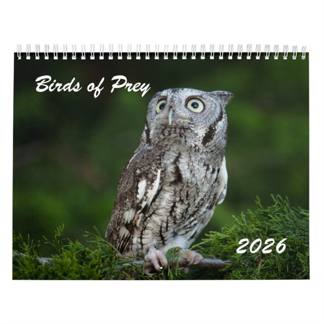 Awesome Birds of Prey 2026 photo calendar (Cover)