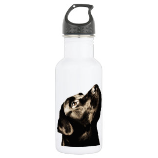 Awesome Black Labrador Retriever 532 Ml Water Bottle