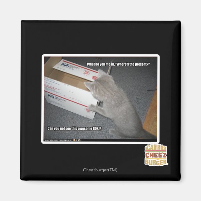 Awesome Box Magnet (Front)
