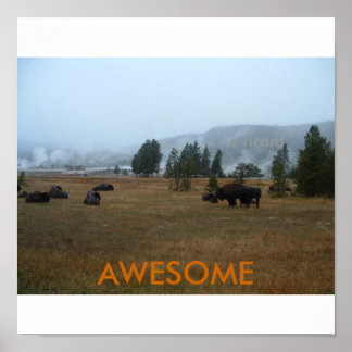 Awesome Buffalo Poster