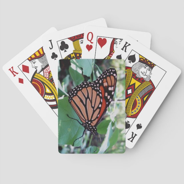 Awesome Butterfly Deck of Playing Cards (Back)