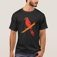 Awesome Cardinal Birds   Cute Red Cardinal Bird