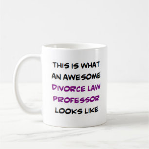awesome divorce law professor coffee mug