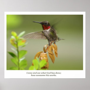 Awesome Hummingbird Poster