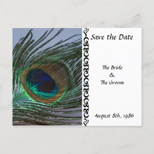 Awesome Peacock Save the Date Postcard