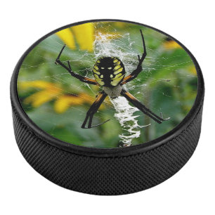 Awesome Photo Orb Spider in Web Hockey Puck