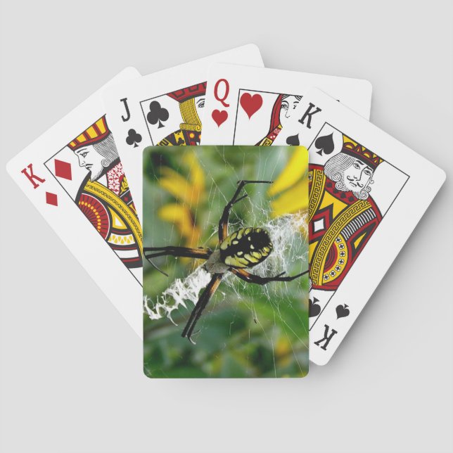 Awesome Photo Orb Spider in Web Playing Cards (Back)