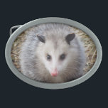 Awesome Possum Belt Buckles<br><div class="desc">Wildlife image features a portrait of a Possum.</div>