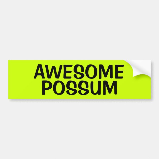 AWESOME POSSUM BUMPER STICKER (Front)