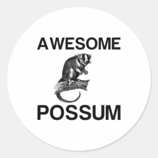 AWESOME POSSUM CLASSIC ROUND STICKER