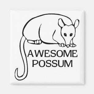 Awesome Possum Magnet