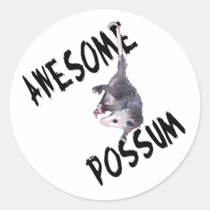 Awesome Possum Opossum Classic Round Sticker