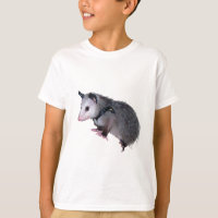 Awesome Possum Opossum