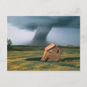 Awesome Spectacle Postcard