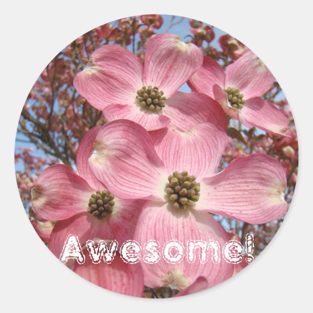Awesome! stickers Pink Dogwood Flowers Nature (Front)